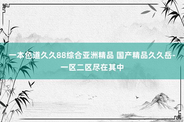一本色道久久88综合亚洲精品 国产精品久久岳-一区二区尽在其中
