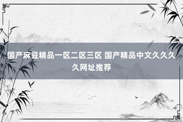 国产麻豆精品一区二区三区 国产精品中文久久久久网址推荐